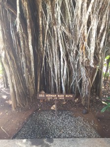 F5C1A8A7-2FC3-495C-B7F2-C535D8185D50