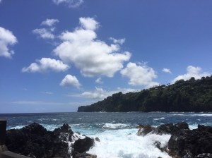 3E2174B1-CEFA-41A7-9713-8BCDBEAC4ADD