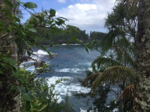 8C1D8047-444A-4A8D-98D0-19E5426058CB