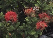 01CFD7FF-95F5-4484-9984-25AAE8D5C82C