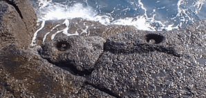 1F4B1727-80E5-4C99-98D0-84469F04289E