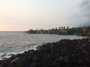 20703CB2-3078-4E22-82B5-1F3CE8F7DBBD