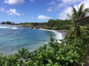 9EB09593-C44D-44AC-9AB7-7258C394CAB4