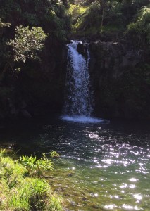 CD9C7BC3-95FB-4083-886A-B0C6B76C6B7B